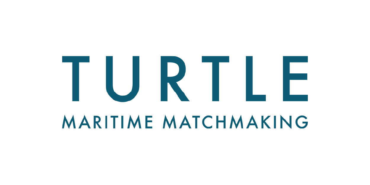 Turtle logo